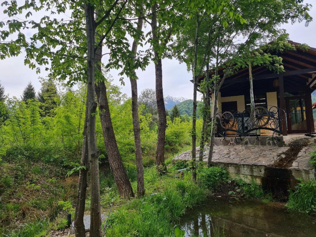 Pensiunea Valceaua Zanelor Dragus Exteriér fotografie